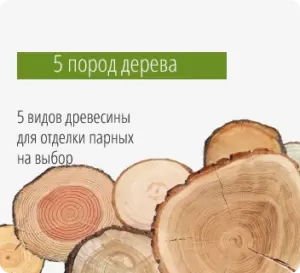 породы дерева на выбор